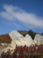 real estate, real estate broker, CAR, MCAR, monterey bay real estate, photography, web design, art, buy a home, sell a home